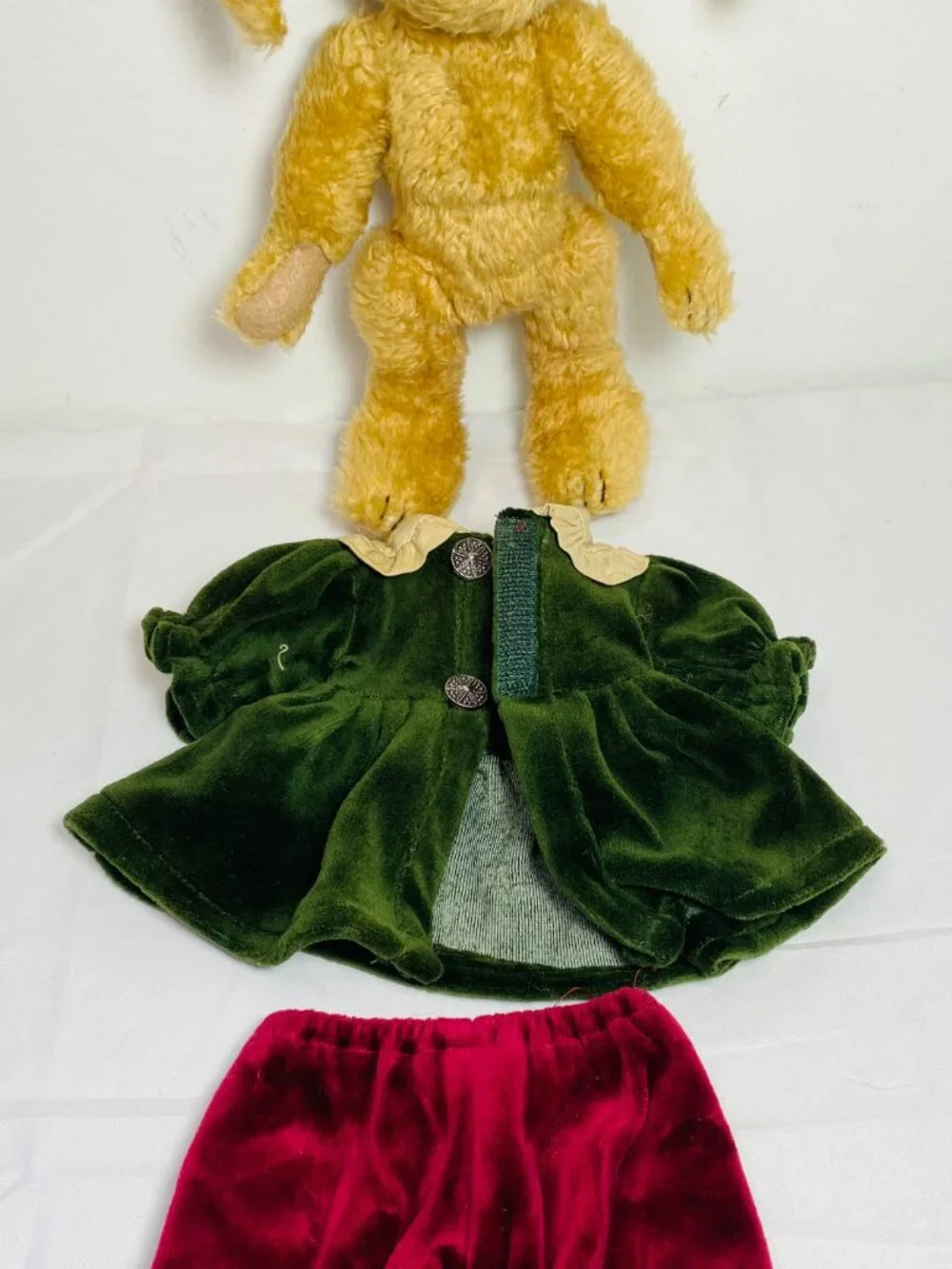 VNTG Boyd's Bear 